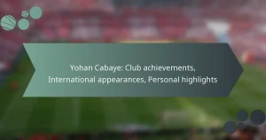 Yohan Cabaye: Club achievements, International appearances, Personal highlights