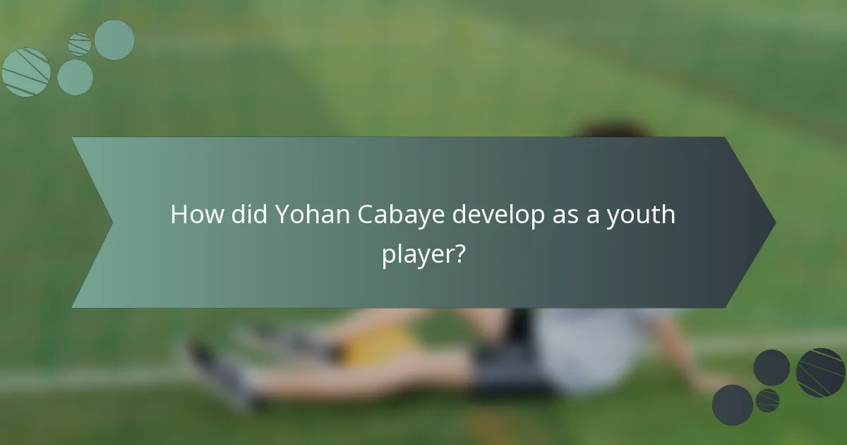 How did Yohan Cabaye develop as a youth player?
