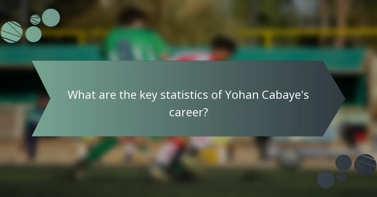 What are the key statistics of Yohan Cabaye's career?